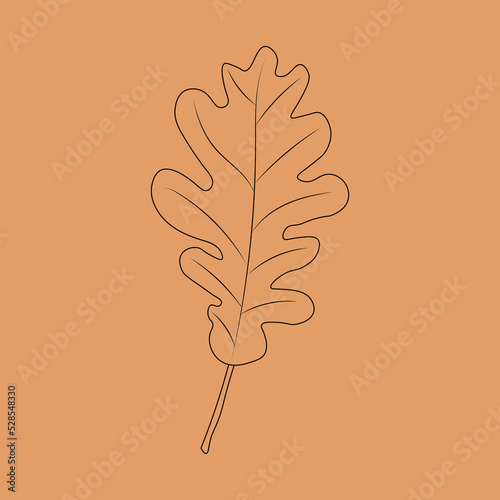 Set of hand drawn leaf outlines. Vector illustration. on the autumn background