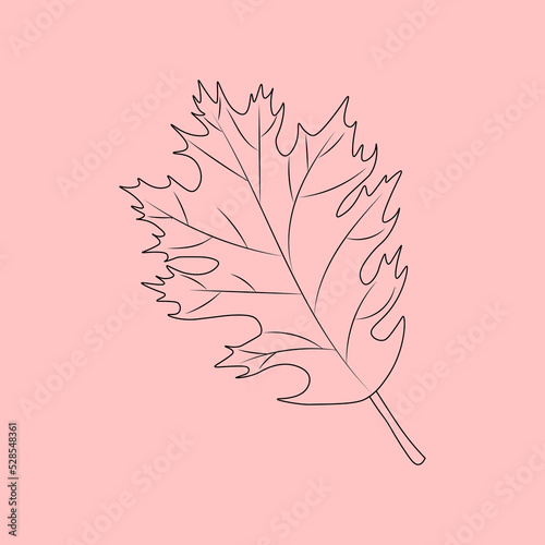 Set of hand drawn leaf outlines. Vector illustration. on the autumn background