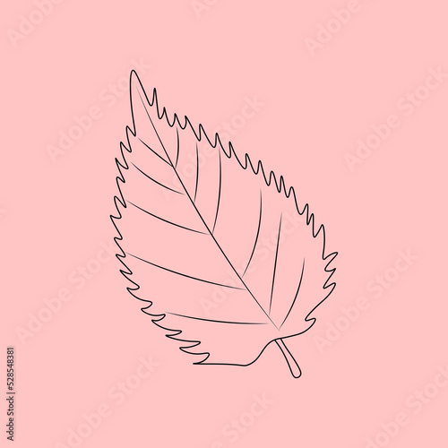 Set of hand drawn leaf outlines. Vector illustration. on the autumn background