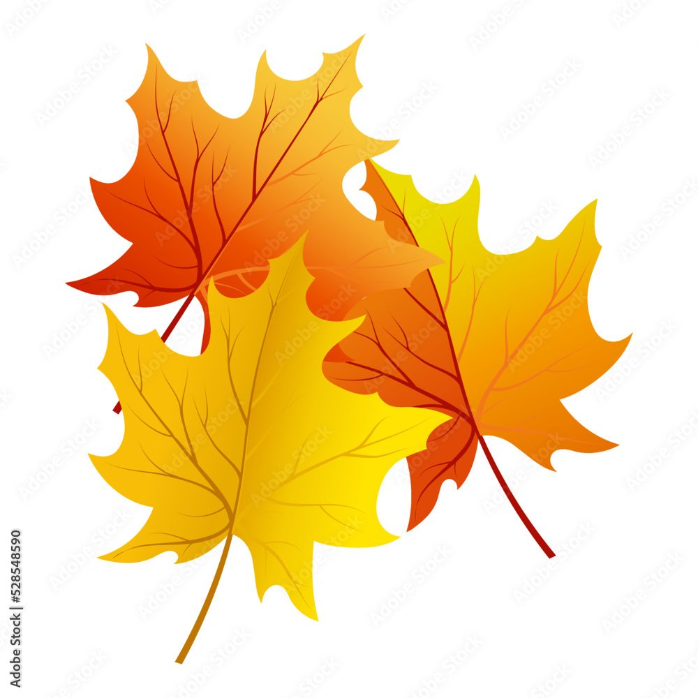 Fototapeta premium Autumn Element