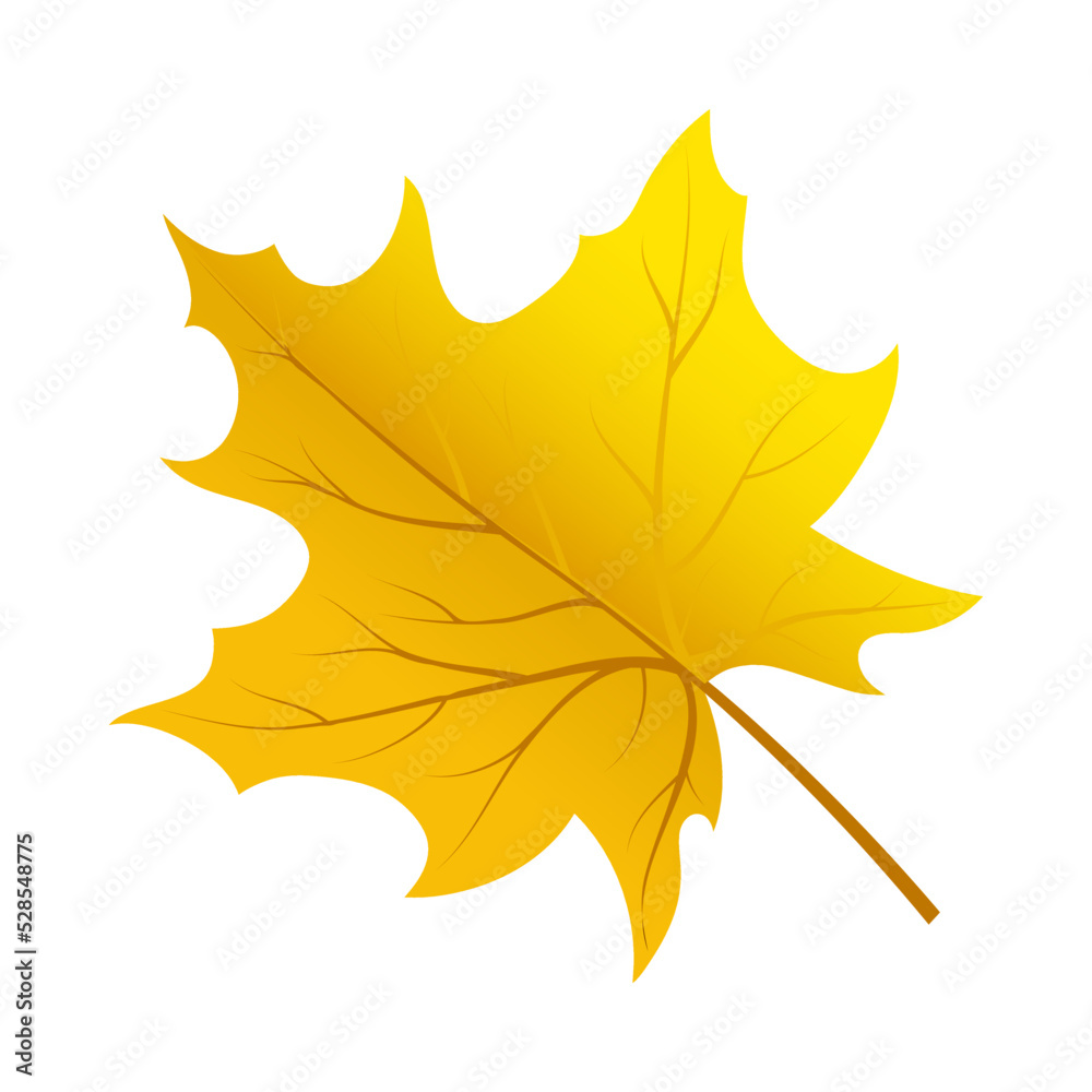 Obraz premium Autumn Element