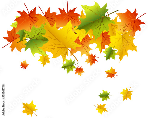 Autumn Element