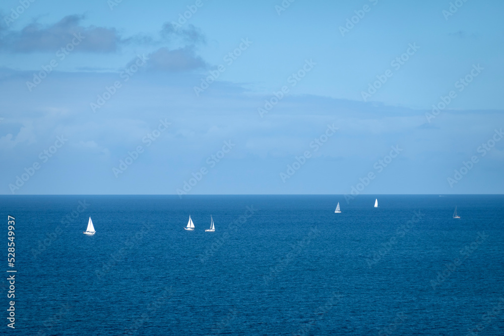White sailing yachts out at sea, Zealand, Denmark, Europe