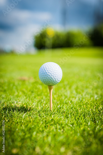 golf club and ball on the green