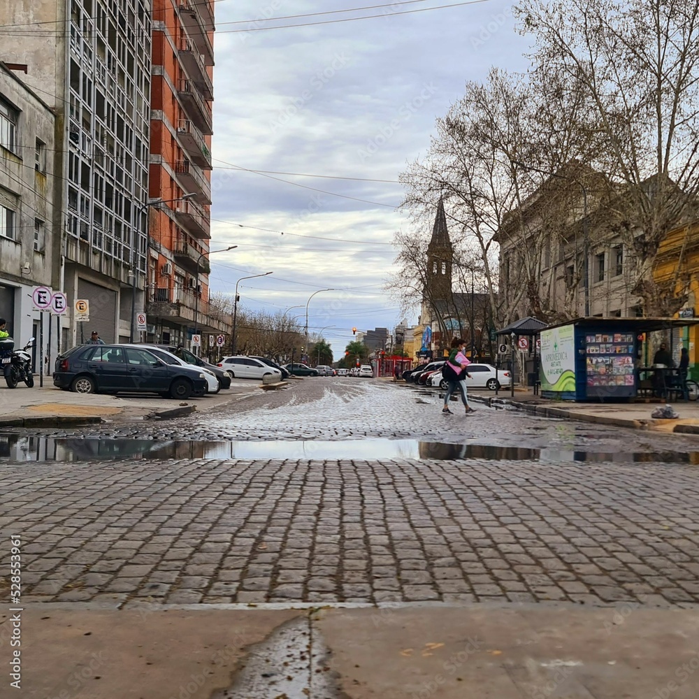 Naklejka premium old avenue with trees and buildings. Vieja avenida con edificios y arboles.