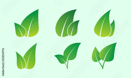 Set of green leaf icons. Green color. Leafs green color icon logo