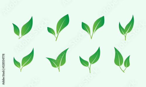 Set of green leaf icons. Green color. Leafs green color icon logo. Leaves on white background