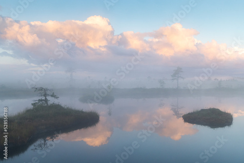 Bog lake with islands and reflections with the fog clad dawn colored sky background © Mati Kose