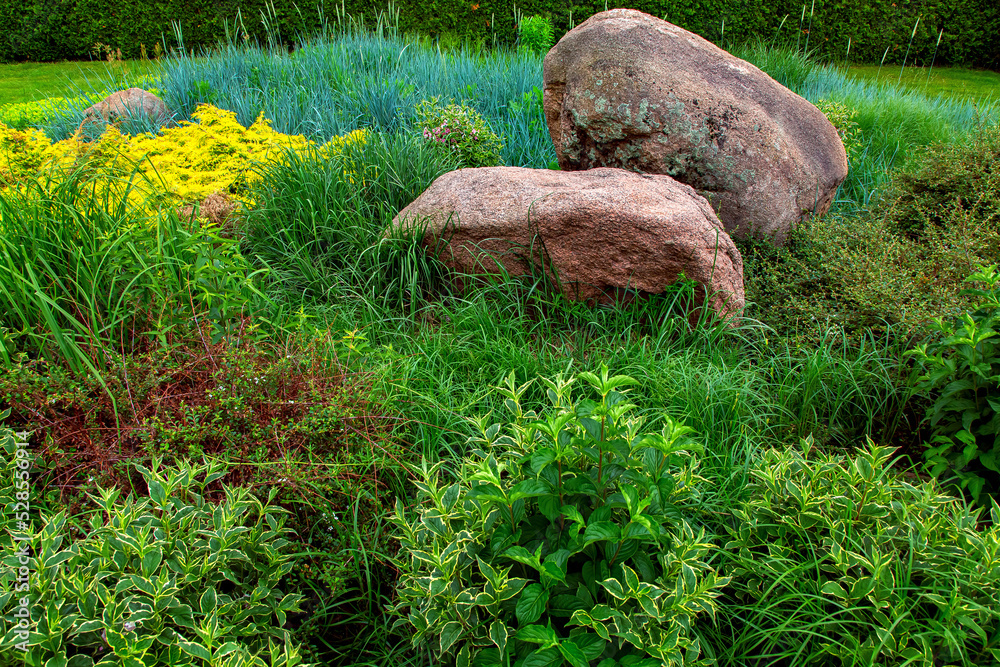 rockery with two large natural stones among different green plants, backyard landscaping with deciduous planting of greenery on summer day, close up, nobody. rockery with two large natural stones among different green plants, backyard landscaping with deciduous planting of greenery on summer day, close up, nobody.