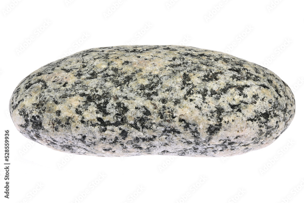 granodiorite from the Baltic Sea coast in Waabs, Germany isolated on white background granodiorite from the Baltic Sea coast in Waabs, Germany isolated on white background