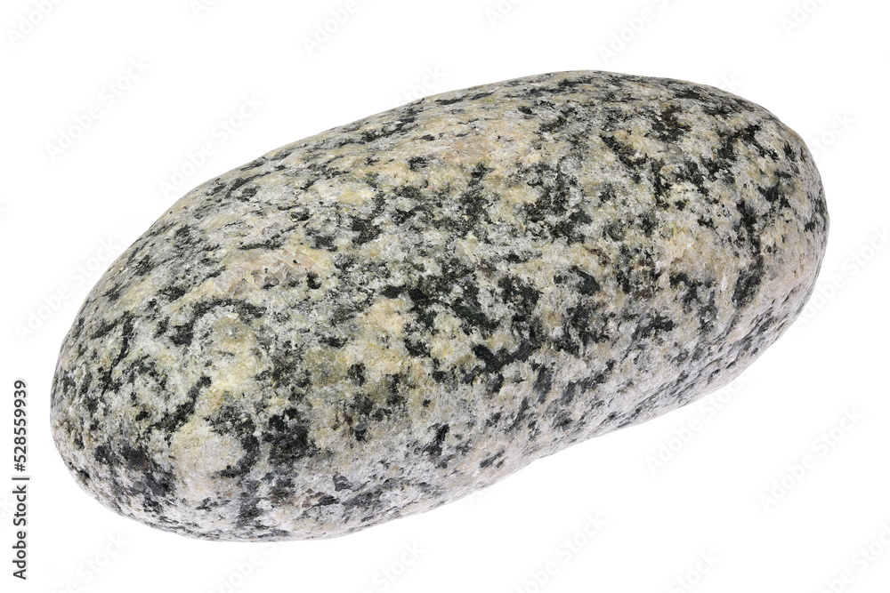 granodiorite from the Baltic Sea coast in Waabs, Germany isolated on white background granodiorite from the Baltic Sea coast in Waabs, Germany isolated on white background