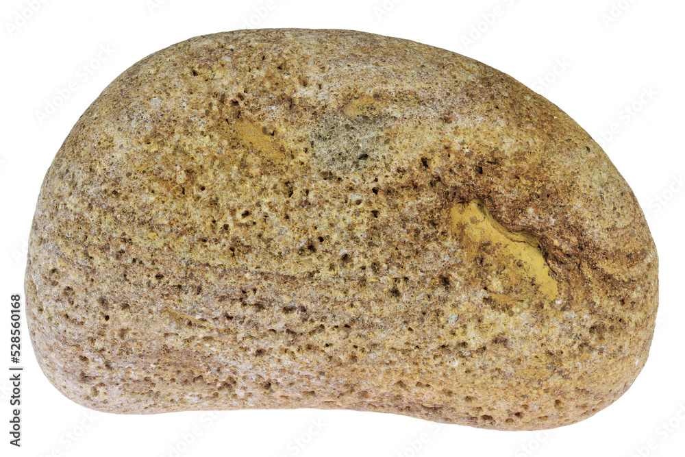 sandstone from the Baltic Sea coast in Waabs, Germany isolated on white background sandstone from the Baltic Sea coast in Waabs, Germany isolated on white background