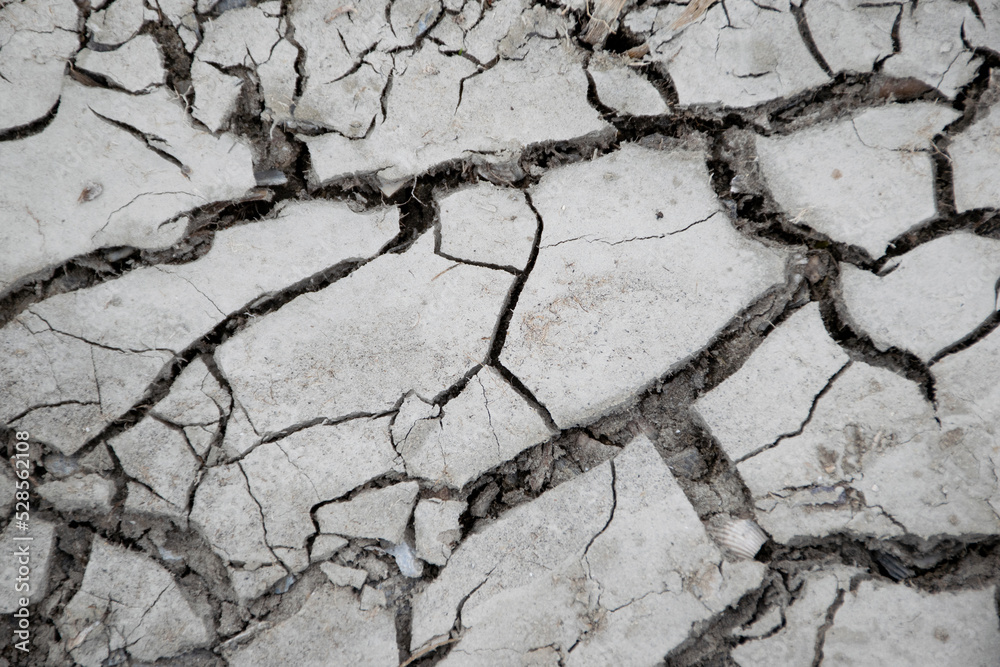 Fototapeta premium close up grey cracked and dried up soil. Global warming conceptual background. Dry lake close up, water shortage, environmental problem. 