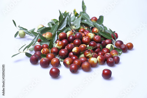 Giuggiole frutti e foglie, bacca commestibile dal sapore dolce.