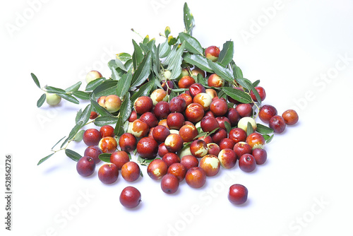 Giuggiole frutti e foglie, bacca commestibile dal sapore dolce.