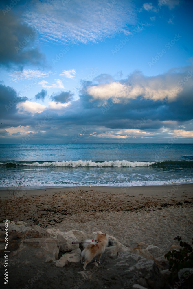 Landscape view from Varna bay, Black sea coast, Bulgaria