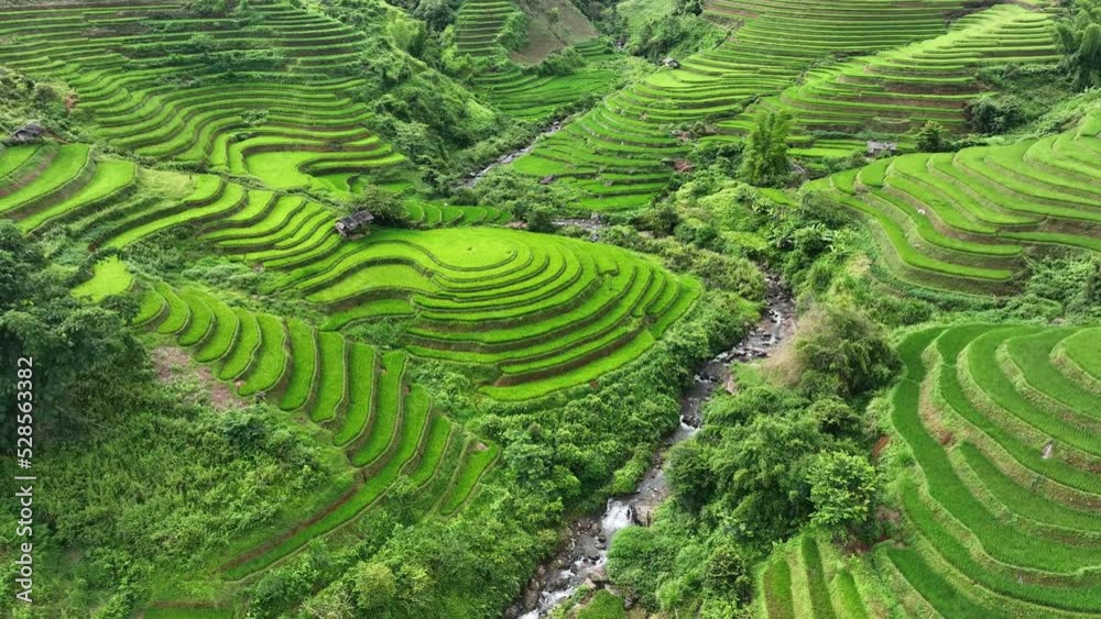 Drone view of Rice terrace with morning mist in Mu cang chai, Vietnam. Beautiful landscape in Vietnam. Drone view of Rice terrace with morning mist in Mu cang chai, Vietnam. Beautiful landscape in Vietnam.