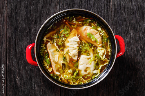 Asian Potsticker Soup in red pot, top view