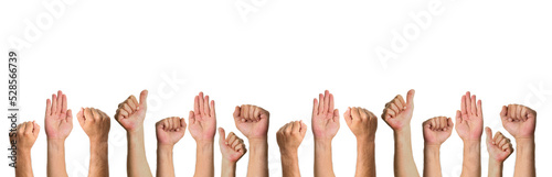 Cropped shot of many hands raised together with closed fists, thumb up, open palm isolated on white. Multiple hands community raised up together to show agreement and support same team.