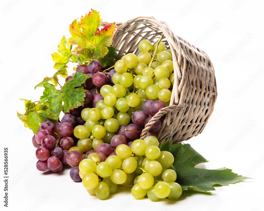 Bunches of white and pink grapes in a wicker basket Bunches of white and pink grapes in a wicker basket