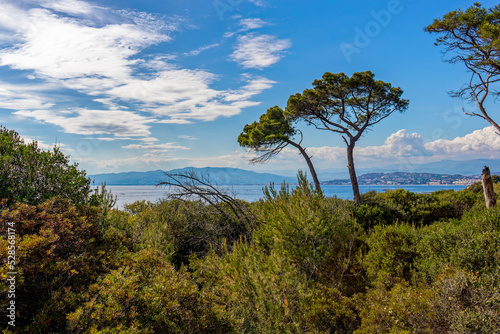 Saint Margaret - one of The Lerins Islands     les de L  rins 