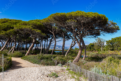 Saint Margaret - one of The Lerins Islands ((Îles de Lérins)