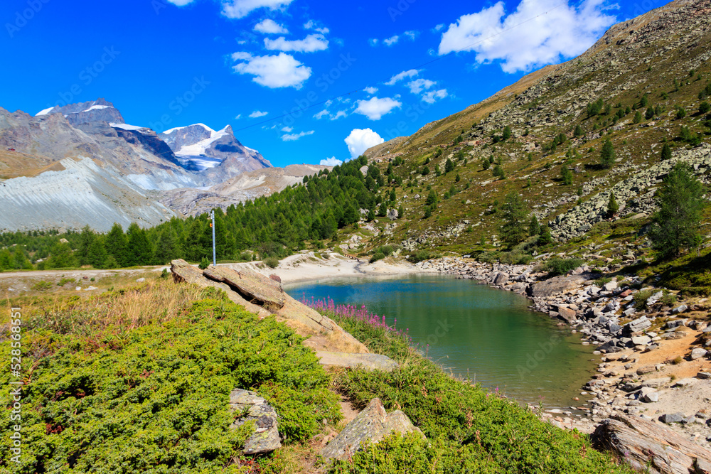 Naklejka premium View of Grunsee lake (Green Lake) and the Swiss Alps at summer on the Five Lakes Trail in Zermatt, Switzerland