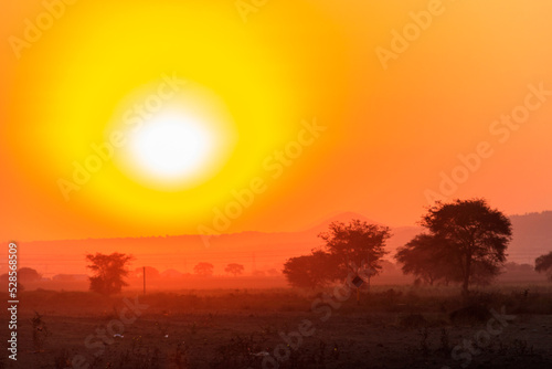 Beautiful african sunset over savannah in Tanzania © olyasolodenko