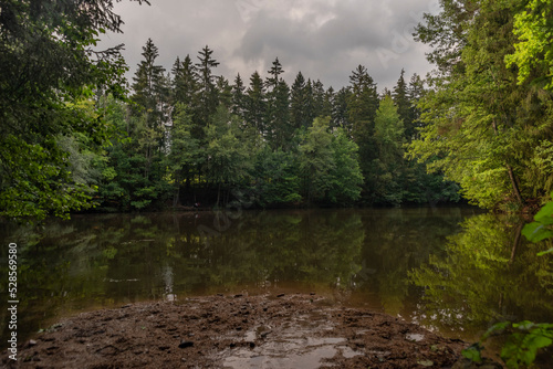 Old brewery ponds near Vratislavice nad Nisou town in summer cloudy day