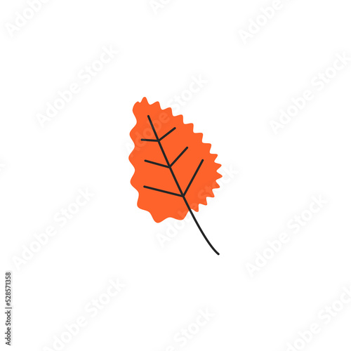 Orange fresh autumn leaf with veins. Fall aspen foliage season. Decorative botanical item. Simple single quaking aspen leaf silhouette. Hand drawn flat vector illustration isolated on white background