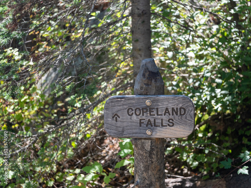 copeland falls waterfall sign in the woods photo