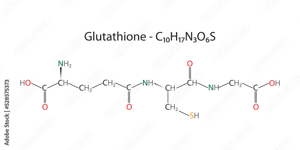 Molecular structure and chemical formula of glutathione	