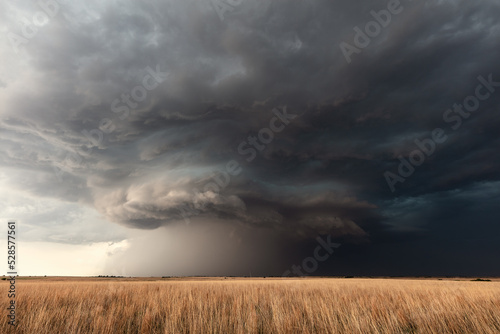 Supercell storm clouds over a wheat field