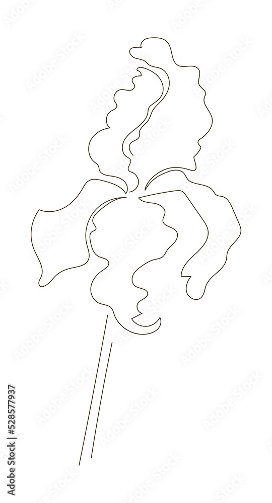 Iris. Flower in line style. Stock vector illustration, isolated on white background.