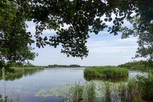 The Ankeveense Plassen in the Netherlands photo