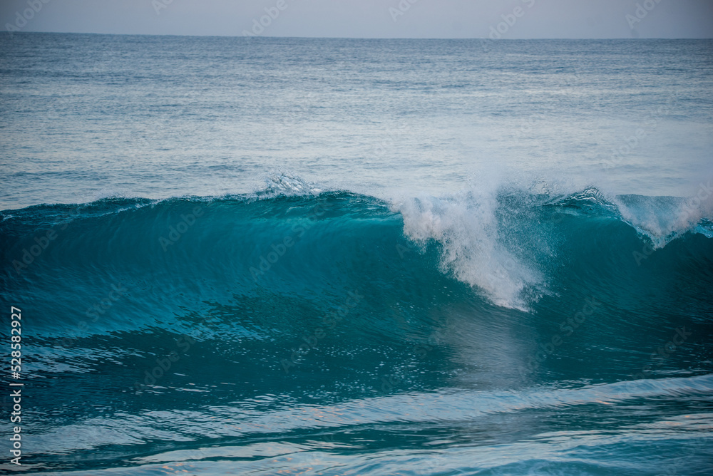 Naklejka premium Blue Wave