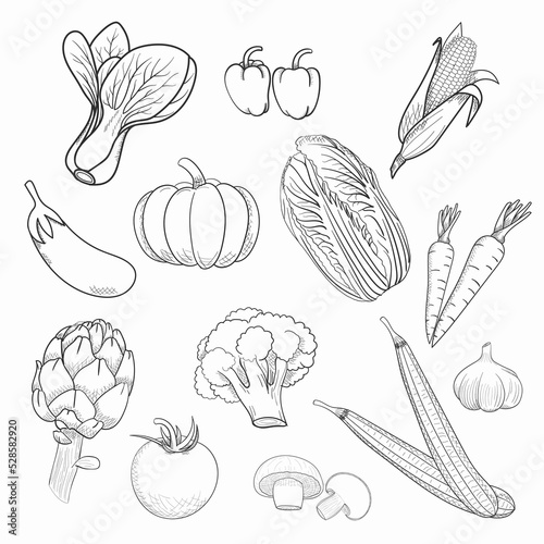 Hand drawn Vegetable sketch Background