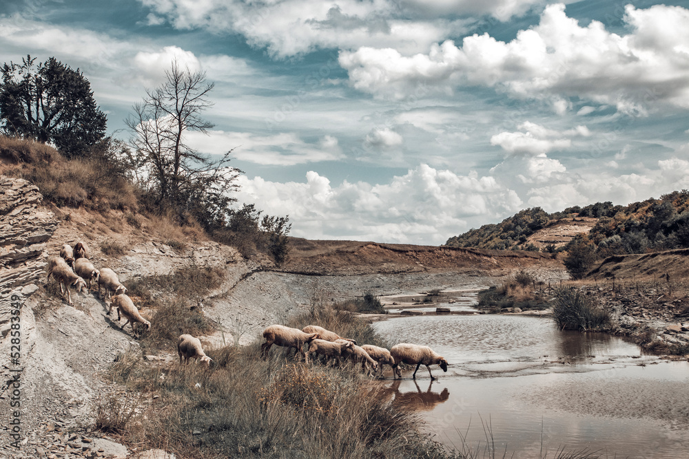 Naklejka premium Drought in Europe 