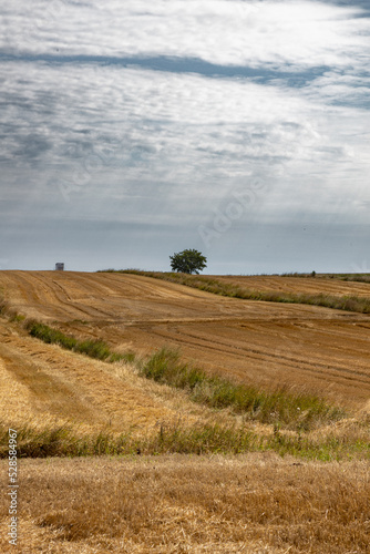 Farmer’s fields after the fall harvest, traces of tractors and farm machines, rural landscapes, podkarpackie county, Poland 