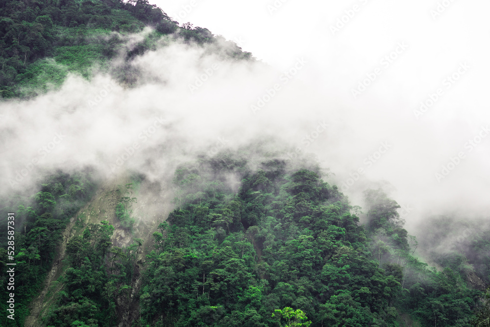 views of foggy day at mountains