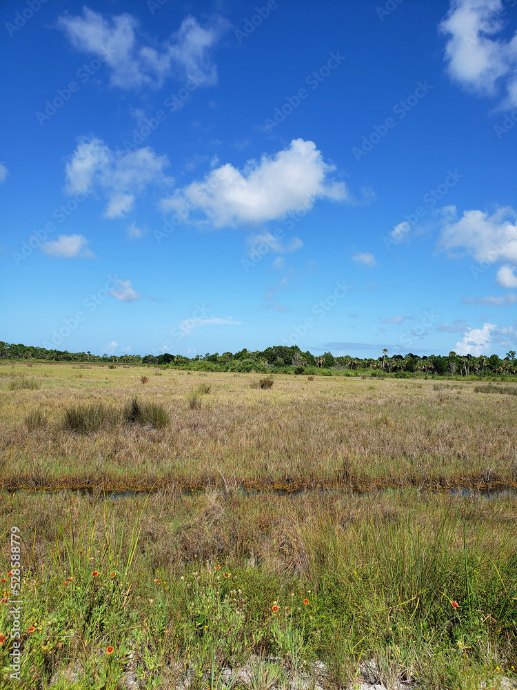 Black Point Wildlife Drive, Merritt Island National Wildlife Refuge, Florida