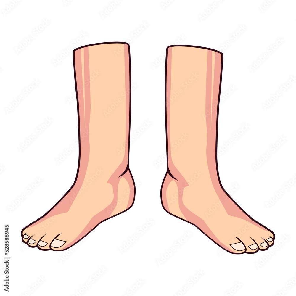 cartoon leg isolated white background cartoon leg isolated white background
