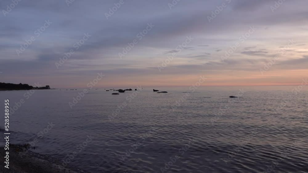 Beach with Harbour Seals on rocks in the sea at sunset
Slow motion shot from Sweden, 2022
Beach with Harbour Seals on rocks in the sea at sunset
Slow motion shot from Sweden, 2022