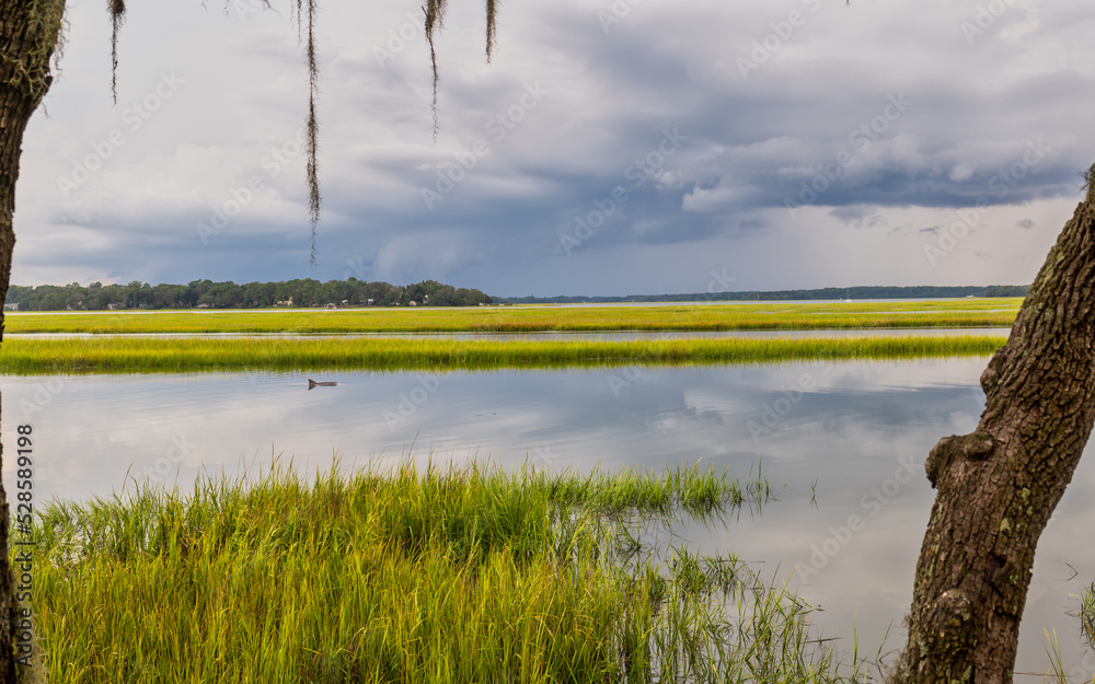 Fototapeta premium Dolphin surfacing in the river, storm brewing in background