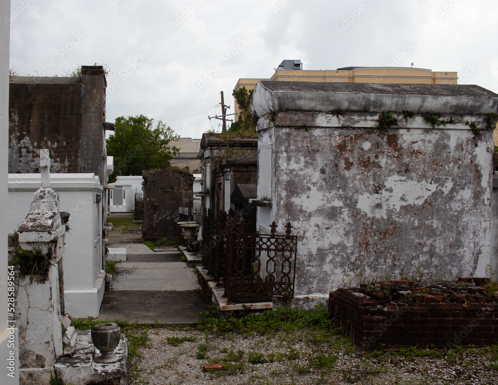 Beautiful scene of St Louis cemetery No 1 in New Orleans Louisiana with gothic look and mausoleums. Plants growing on structures and paint chipping from brick work. 