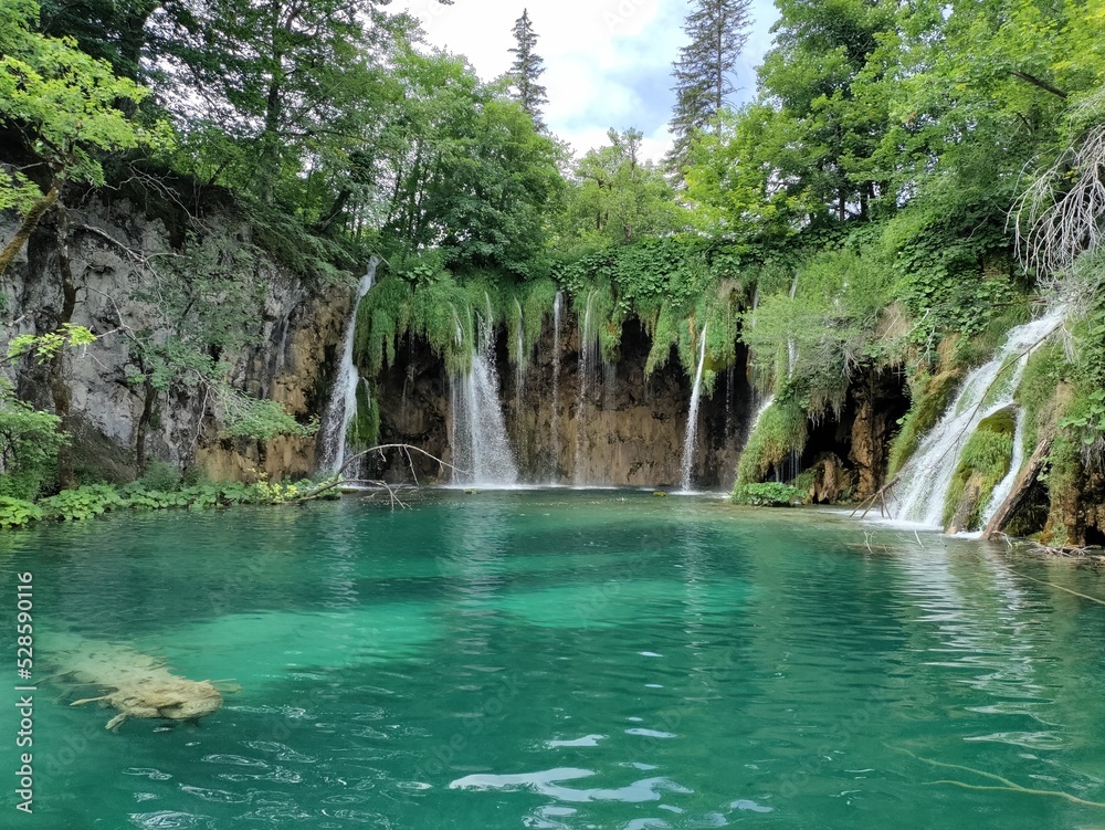 waterfall in the forest