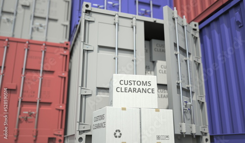 Cardboard boxes with Customs clearance text and cargo containers. Export or import related conceptual 3D rendering photo