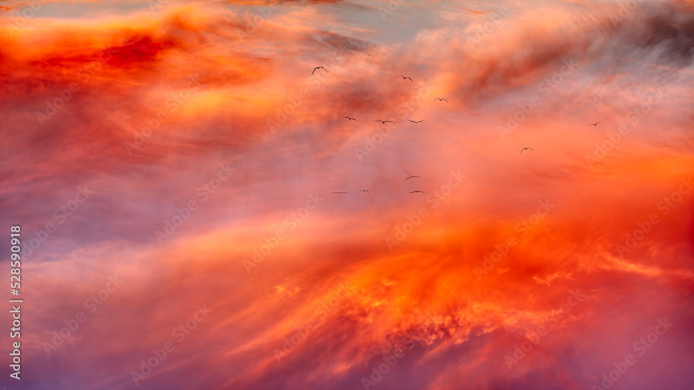 Sunset Birds Flying Ethereal Spiritual Soul Sunset Red Sky