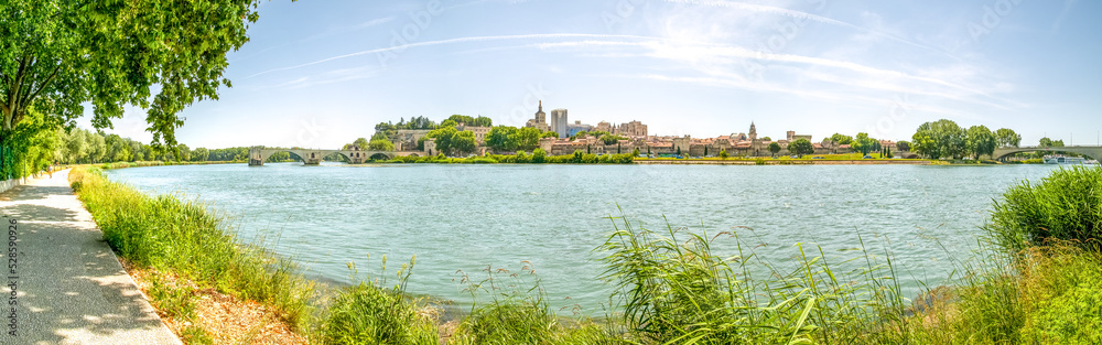 Fototapeta premium Blick auf Avignon und die Brücke Saint Benezet, Frankreich 