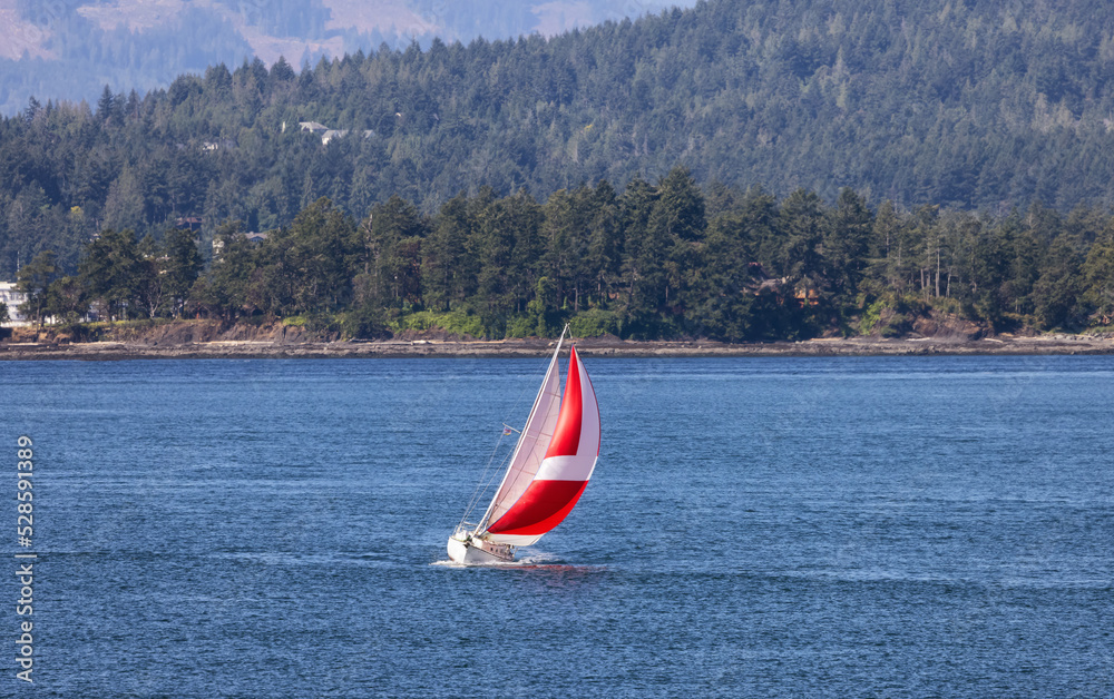 Fototapeta premium Sailboat in Canadian Landscape by the ocean and mountains. Summer Season. Gulf Islands near Vancouver Island, British Columbia, Canada. Canadian Landscape.